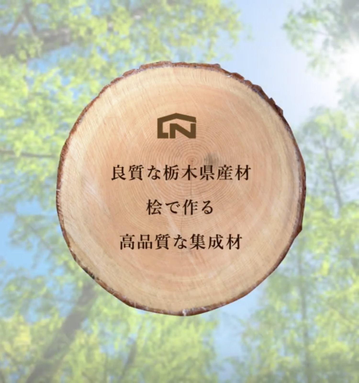 新しいコレクション ナイキ 標準パネル 木目プリント Npk 1308 Npk1308 株 ナイキ メーカー取寄 21新作モデル Www Bedandbiscuitspetsittingservices Com